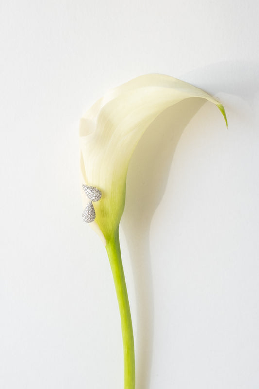 Boucles d'oreilles DEWY - Argent 925